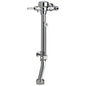 81T - Exposed Bedpan Washer Manual Flush Valve - Brass