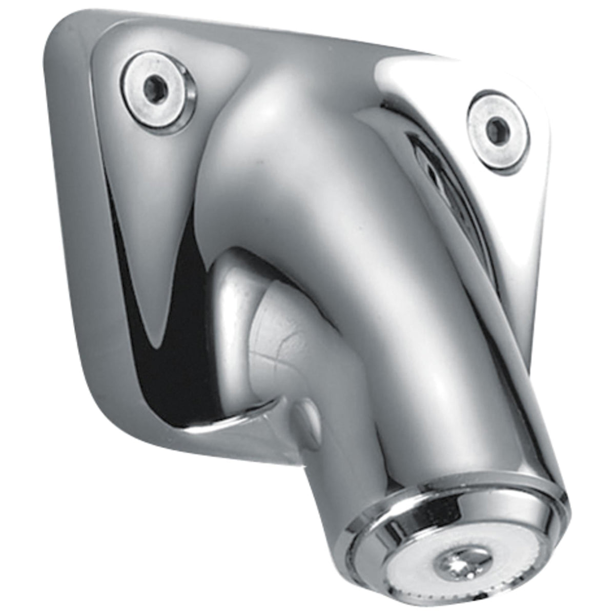 Shower Head - Wall Mount - Brass