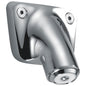Shower Head - Wall Mount - Brass