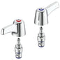 Two Hooded Lever Handle - 3"