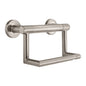 DELTA® 41550-SS Decor Assist™ Contemporary Toilet Tissue Holder With Assist Bar, 300 lb Capacity, 4-1/2 in H, Stainless Steel, Import