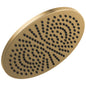 Universal Showering - Raincan Shower Head - Ceiling/Wall