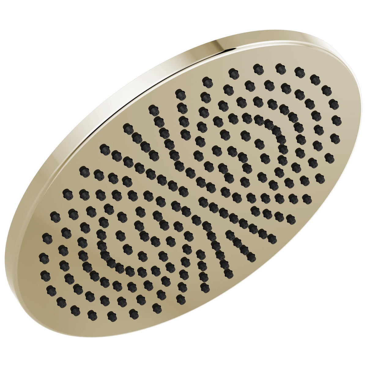 Universal Showering - Raincan Shower Head - Ceiling/Wall