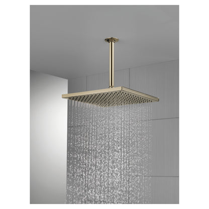 Universal Raincan Shower Head - Ceiling/Wall - Max Flow