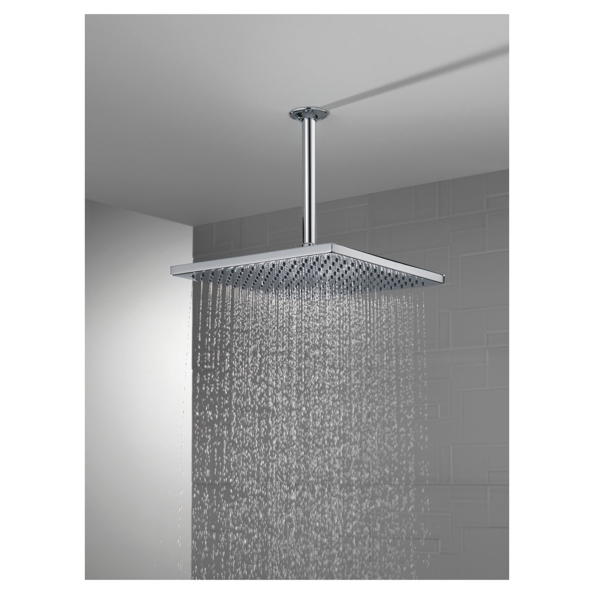 Universal Raincan Shower Head - Ceiling/Wall - Max Flow
