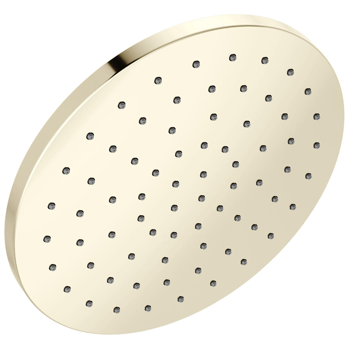 Single-Function Shower Head - 10" Dia Head - 1 Sprays