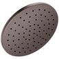 Single-Function Shower Head - Wall
