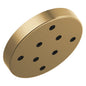 Universal Showering - Universal Raincan Shower Head