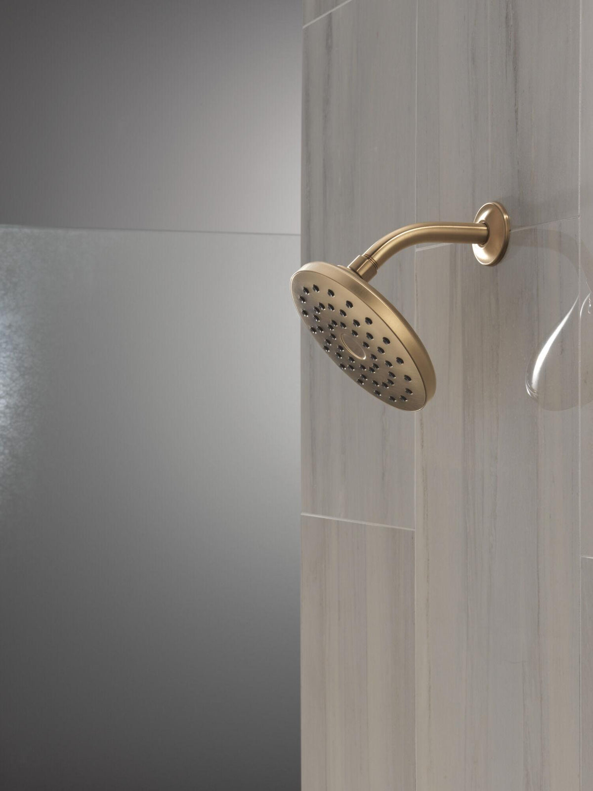 Pivotpro - Shower Head - ABS Plastic