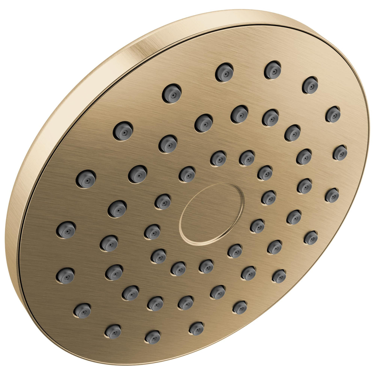 Pivotpro - Shower Head - ABS Plastic
