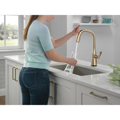 Stryke - Pull-Down Kitchen Faucet - 1 Handle - with Touch