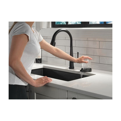 Emmeline - Pull-Down Kitchen Faucet - Deck Mount