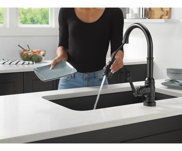 Broderick - Pull-Down Kitchen Faucet - 1.8 GPM - 16-1/8" H