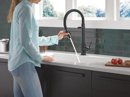 Trinsic - Pull-Down Kitchen Faucet - Matte Black