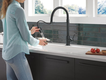 Trinsic - Pull-Down Kitchen Faucet - Matte Black