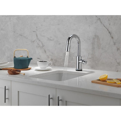 Trinsic - Kitchen Faucet - Zinc