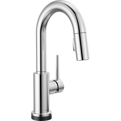Trinsic - Kitchen Faucet - Zinc