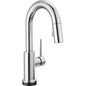 Trinsic - Kitchen Faucet - Zinc