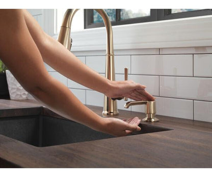 Soap Dispenser - RP101188CZPR