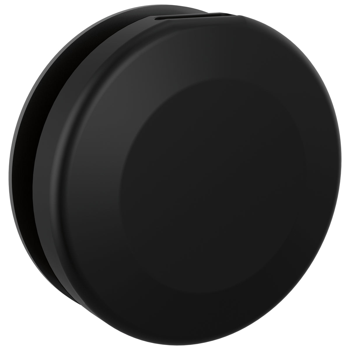Contemporary Round Steam Head - Matte Black - 3-3/8" Dia