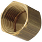 DELTA® RP34849 Cap, 1/2 in Female IPS, Brass, Domestic