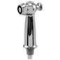 Victorian - Spray and Hose Assembly