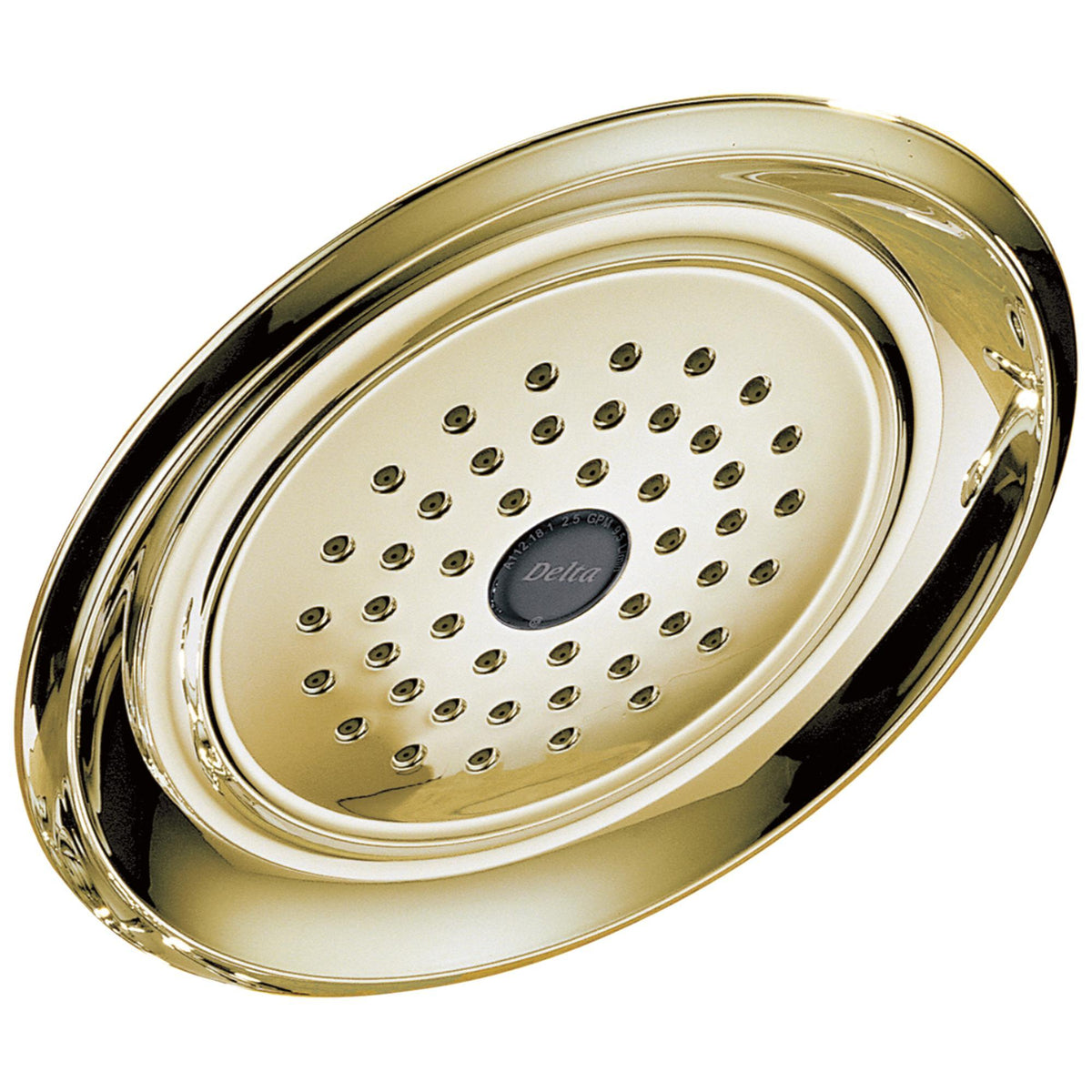 Single-Setting Raincan Shower Head - Wall Mount - 2 GPM
