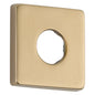 DELTA® RP51034CZ Shower Flange, Import