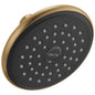 Universal Raincan Shower Head - 2.5 GPM - Wall Mount
