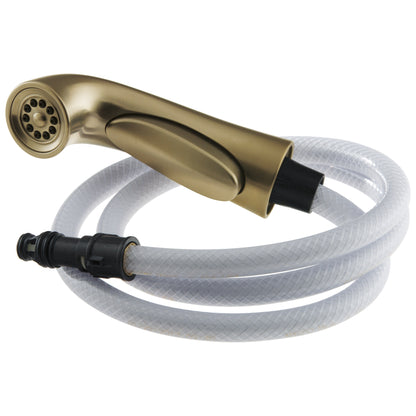 Spray/Hose - and Diverter Assembly