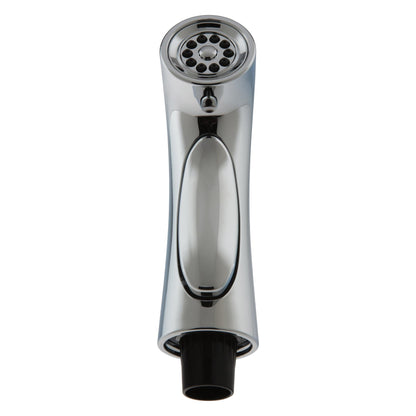 Spray/Hose - and Diverter Assembly