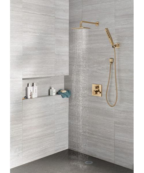 Showerhead - Brass - 2.5 GPM