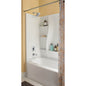 Single-Setting Raincan Shower Head - RP70171SP