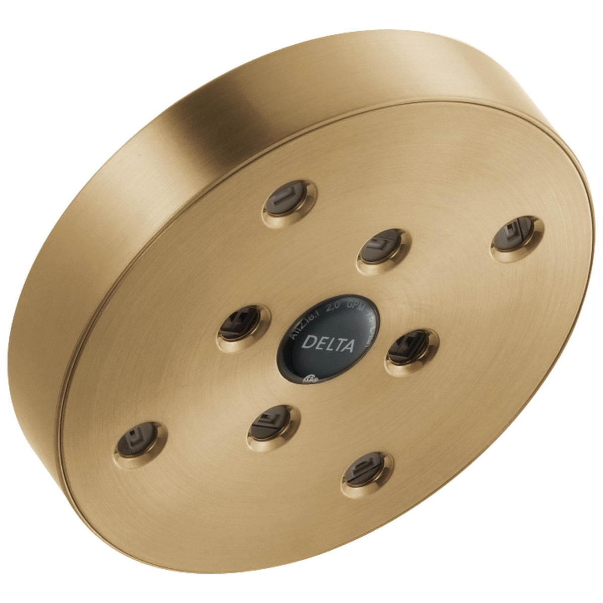 DELTA® RP70175CZ Single-Setting Raincan Shower Head, 2 gpm, 1 Sprays, Wall Mount, 5-13/32 in Dia Head, Import
