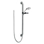 Commercial RPW136HDF Hand Shower, HDF®, 2-Function Shower Head, 2.5 gpm, 60 to 82 in L Hose, 1/2 in Connection, Stainless Steel, Import