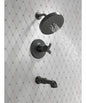 Tub and Shower Trim - Zinc