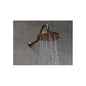 Shower Arm and Flange - 6" L - 2-1/2" Outside Diameter