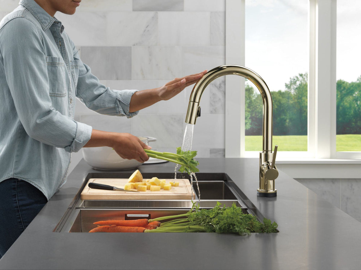 Trinsic - Pull-Down Kitchen Faucet - 16-3/16" H - 1 Handle