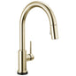 Trinsic - Pull-Down Kitchen Faucet - 16-3/16" H - 1 Handle