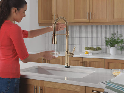 Renaldi - Spring Faucet - 1.8 GPM - 3/8"