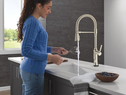 Renaldi - Spring Faucet - 1.8 GPM - 9-5/8"