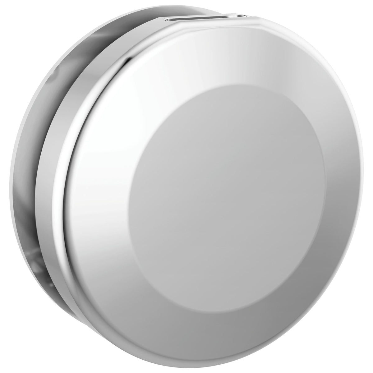 DELTA® RP103308PR Contemporary Round Steam Head, 3-3/8 in Dia, 3/4 in NPT Connection, Import