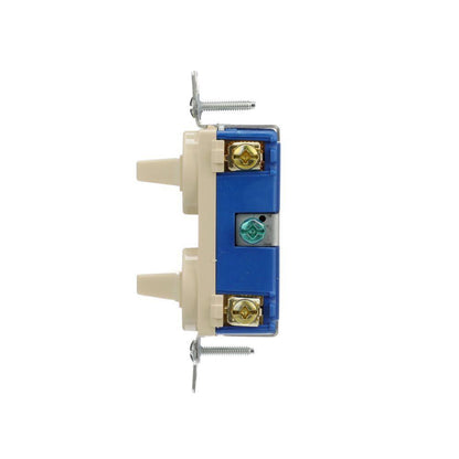 Duplex AC Toggle Combination Switch - Thermoplastic