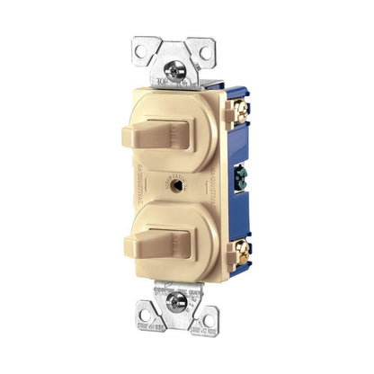 Duplex AC Toggle Combination Switch - Thermoplastic