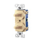Duplex AC Toggle Combination Switch - Thermoplastic