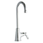 Elkay® LK535GN05L2 Universal Traditional Classroom Faucet, Commercial, 2.2 gpm Flow Rate, Gooseneck Spout, Polished Chrome, 1 Handles, Import