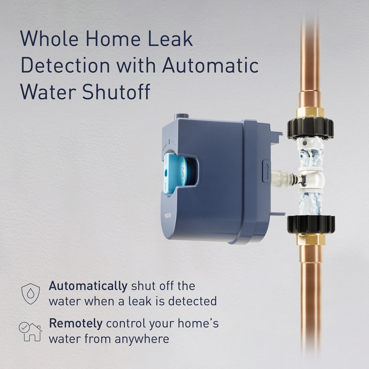 Digital Water Monitoring and Leak Detection System - 1"