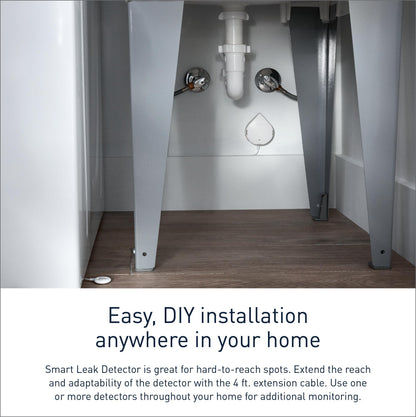 Leak Detection System - 10.4" - CR123A Lithium Battery