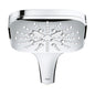 GROHE Rainshower™ 26552_0 Hand Shower