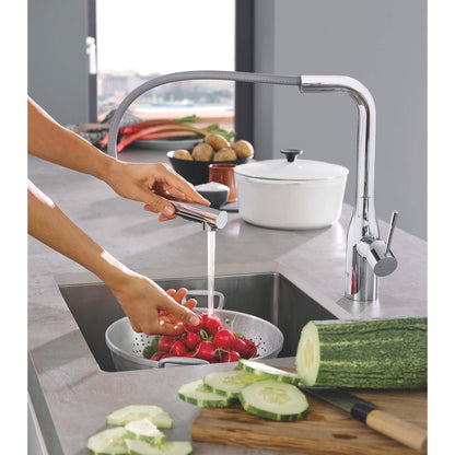 Essence - Pull-Out Kitchen Faucet - Deck Mount - 1.75 GPM